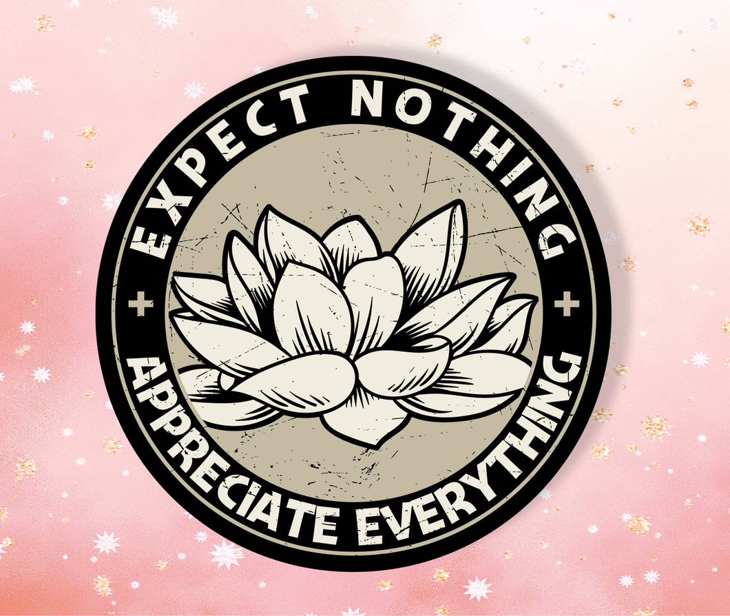 Expect Nothing Appreciate Everything Sticker Metaphysical